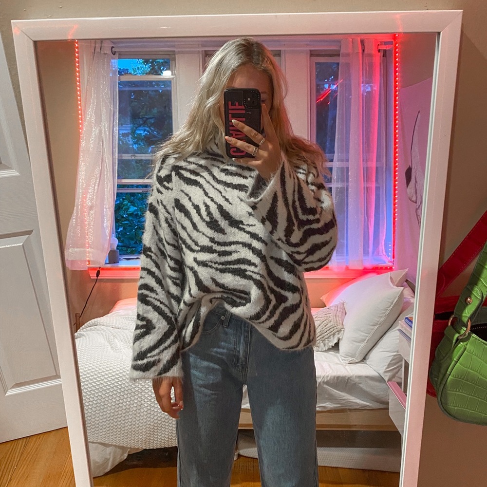 H&M Zebra Print Sweater